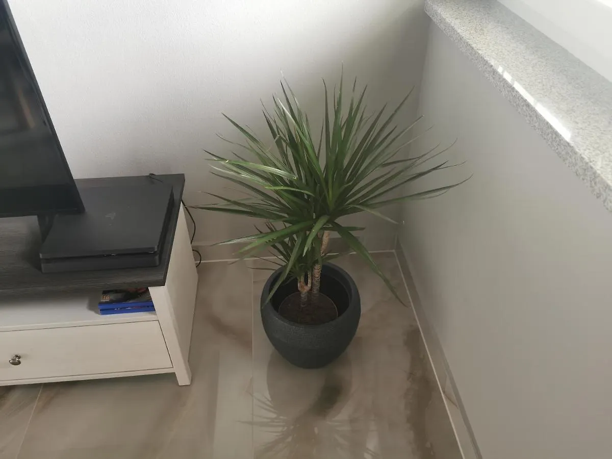 Apartment Luki 포빌레